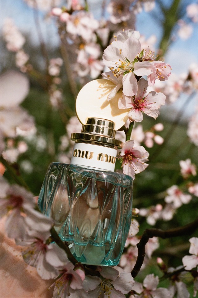 Miu Miu - 1