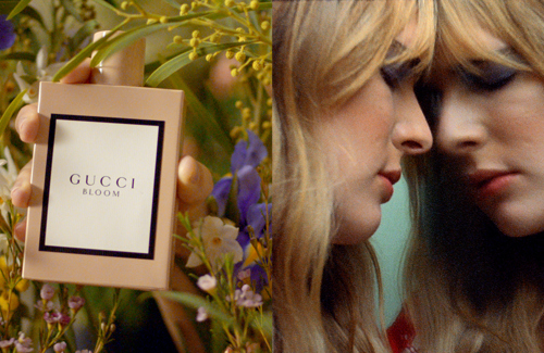 Gucci Bloom x Dazed Beauty